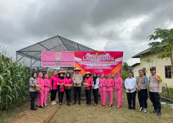 Dukung Program Ketanahan Pangan,Kapolsek Belitang 1 Bersama Pengurus Bhayangkari