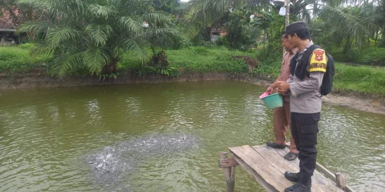 Dukung Ketahanan Pangan, Bhabinkamtibmas Desa Banjar Rejo Cek Kolam Budidaya Ikan Lele Milik Warga Binaan