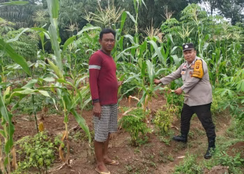 Wujudkan Produktif di Ketahanan Pangan, Personil Polsek Cempaka Berikan Pendampingan Petani