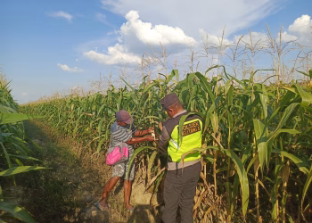 Polsek Belitang II Dukung Ketahanan Pangan Melalui Pengecekan Lahan Pertanian