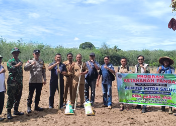 Bhabinkamtibmas Polsek Belitang III Dampingi Penanaman Jagung dalam Program 1 Desa 1 Hektar